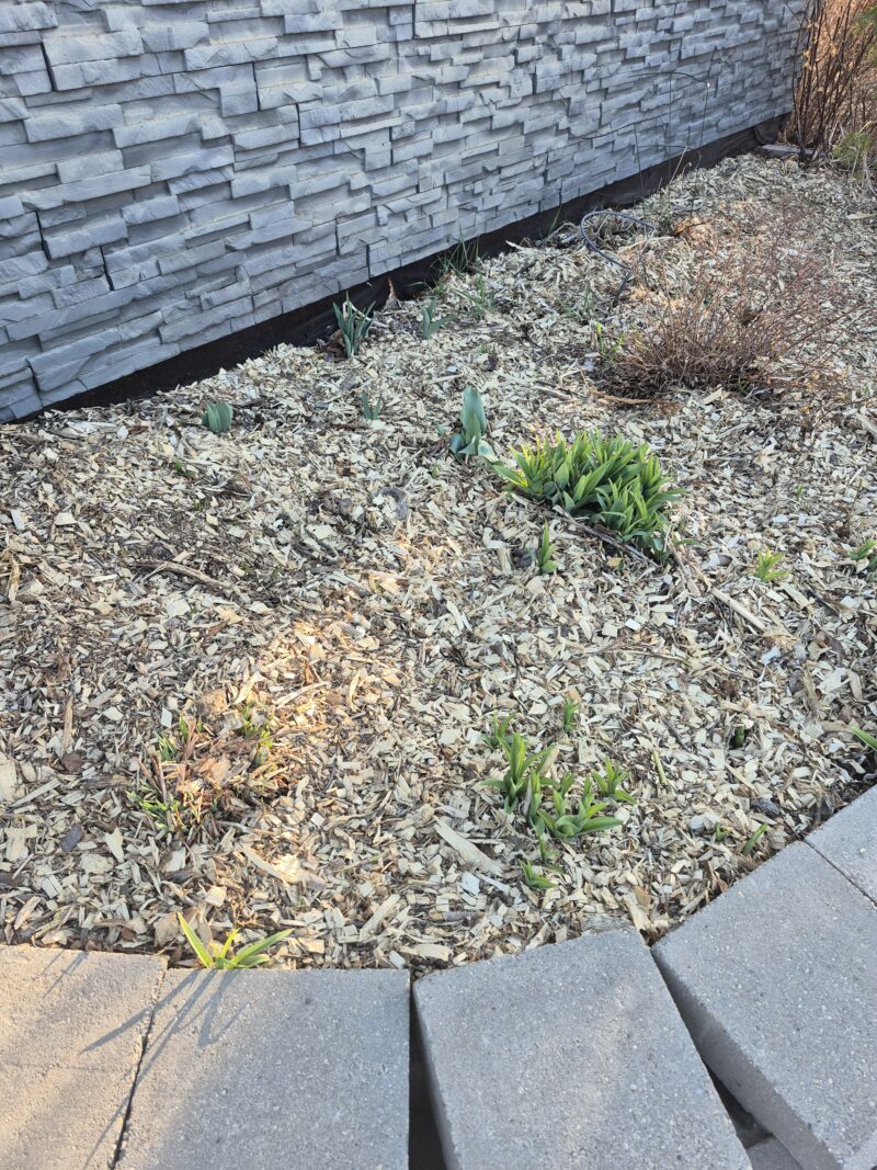 Mulch/Woodchips (240 L) - Image 5