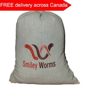 Bait worms