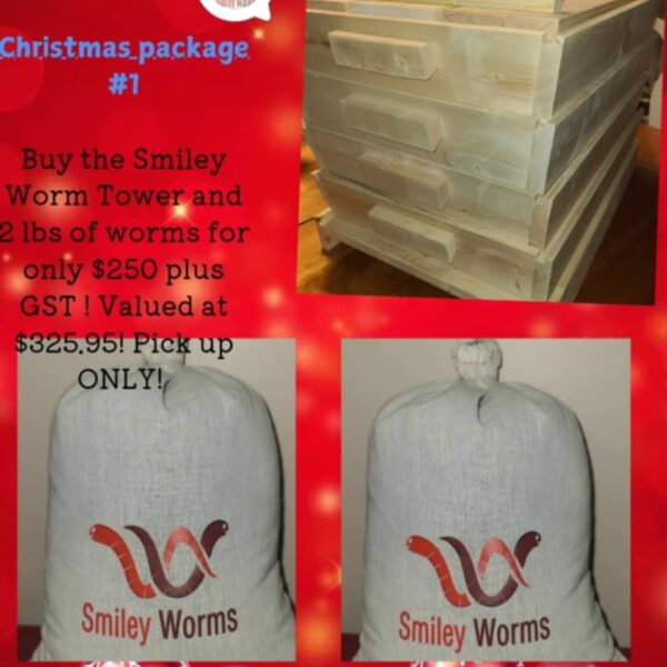 Christmas Package #1