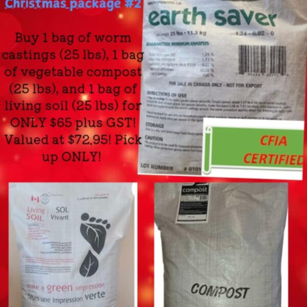 Christmas Package #2