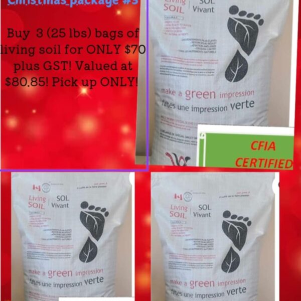 Christmas Package #3