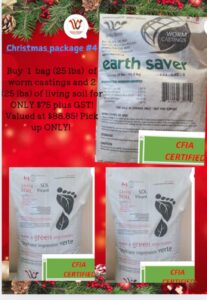 Christmas Package #4