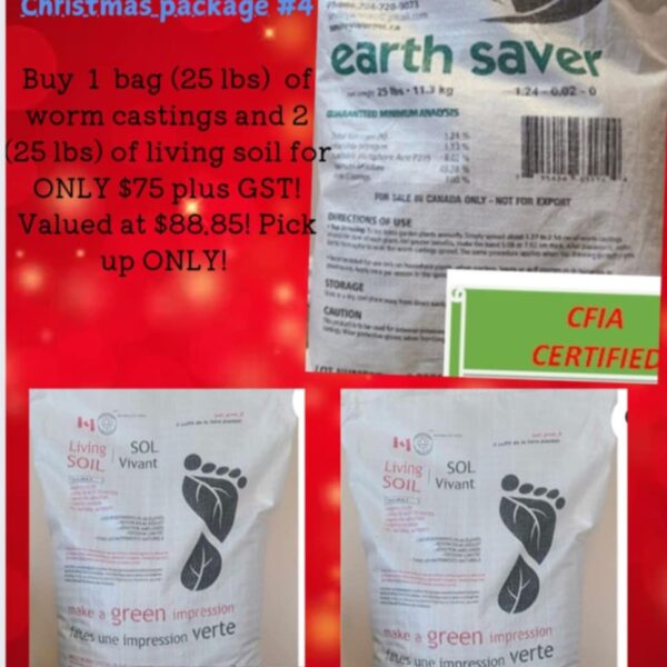 Christmas Package #4