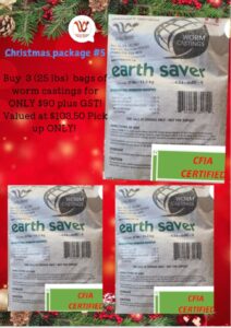 Christmas Package #5