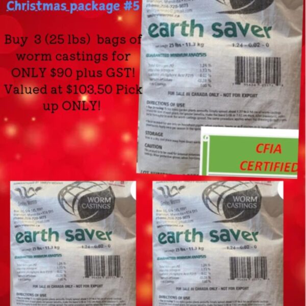 Christmas Package #5