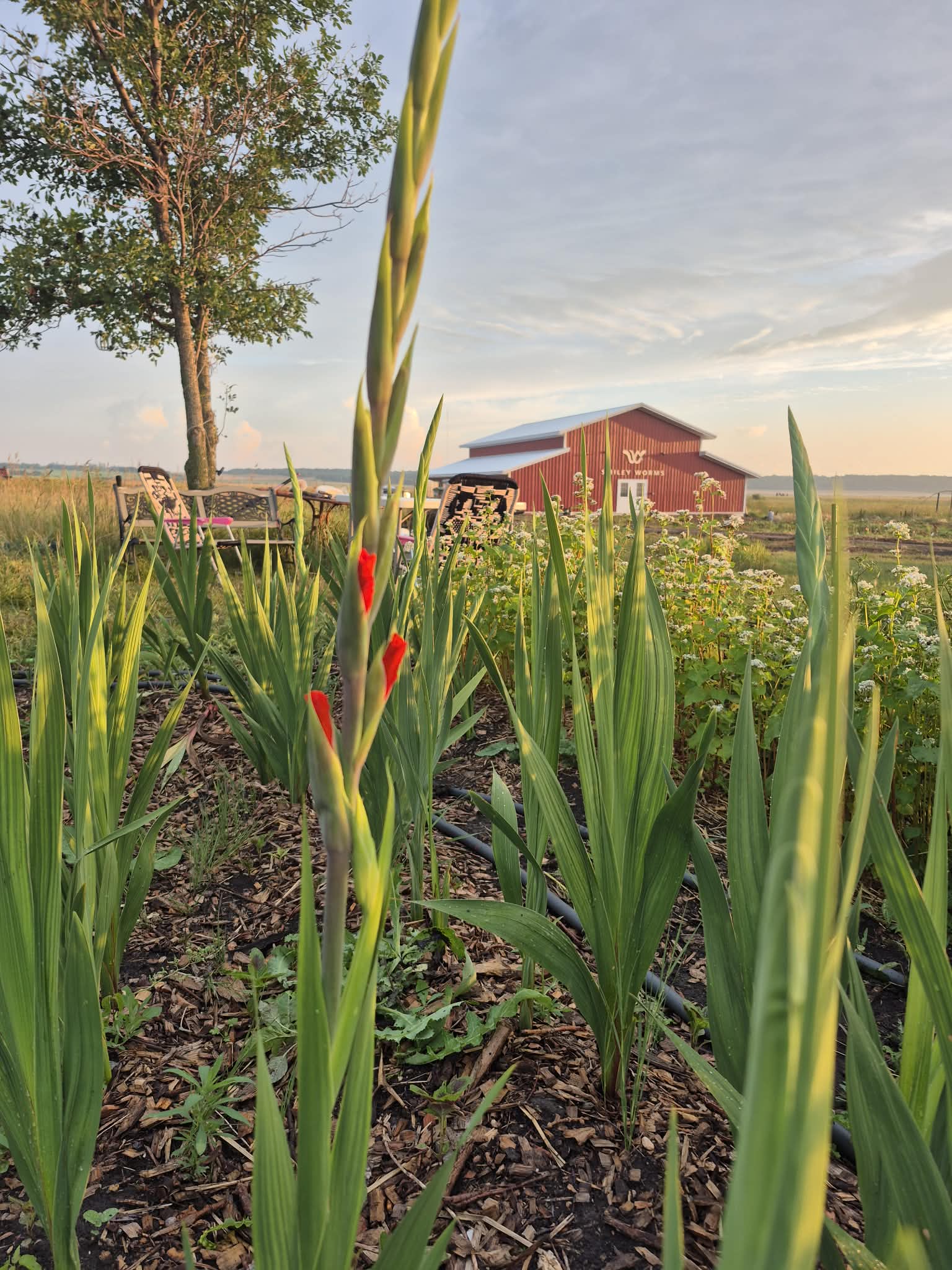 3d0a0e12-0b51-4f7e-96a6-84661e9f61c8