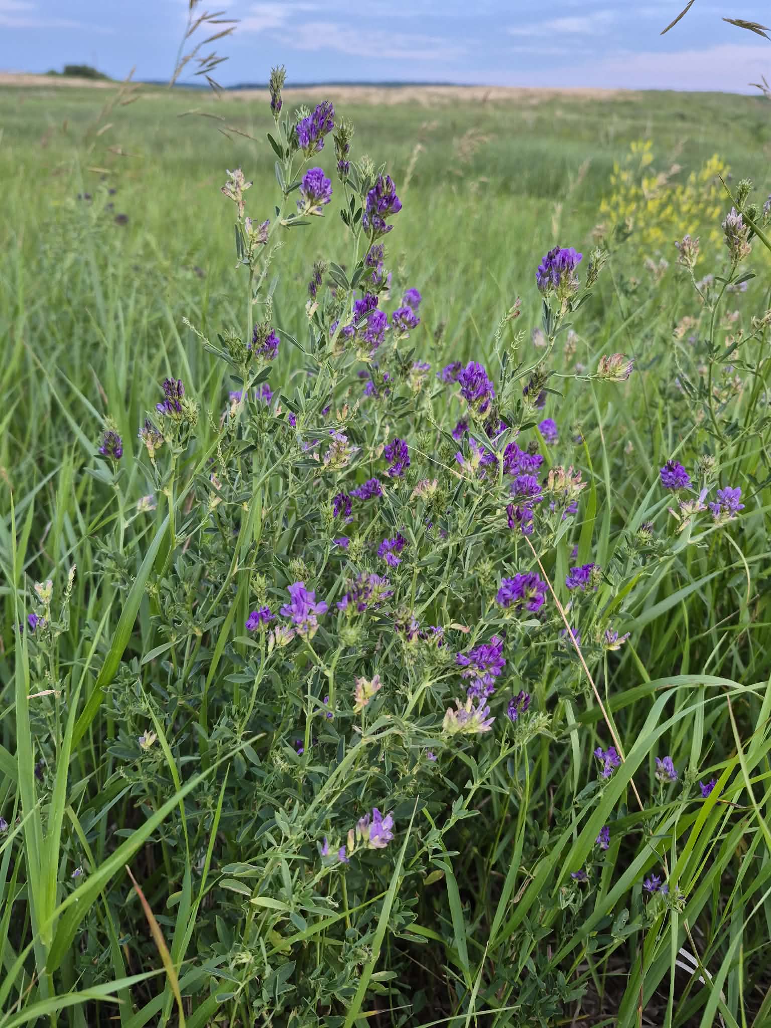 51f81b87-8df1-4c97-bbf5-28b6245426c4