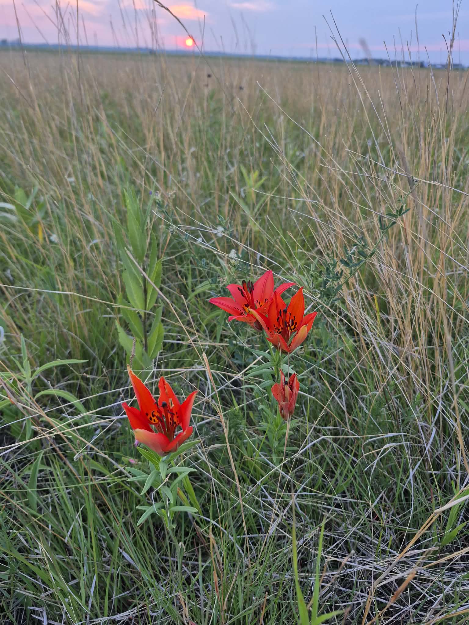 abe237e3-4f35-4d80-aff2-56777d466c22