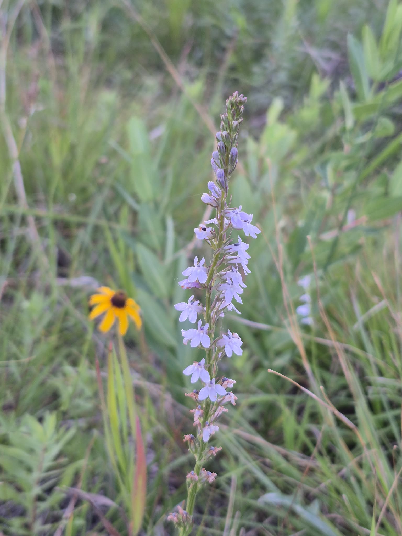 b3be64ef-1c52-41a0-959c-8df6663fdd3e