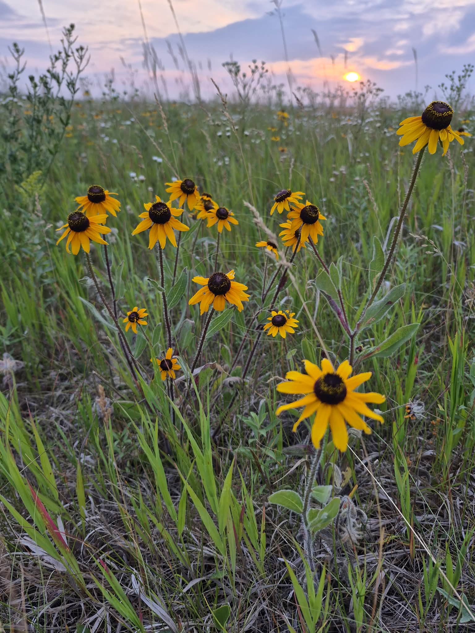 c997920c-208a-445b-9649-65418052ee0c