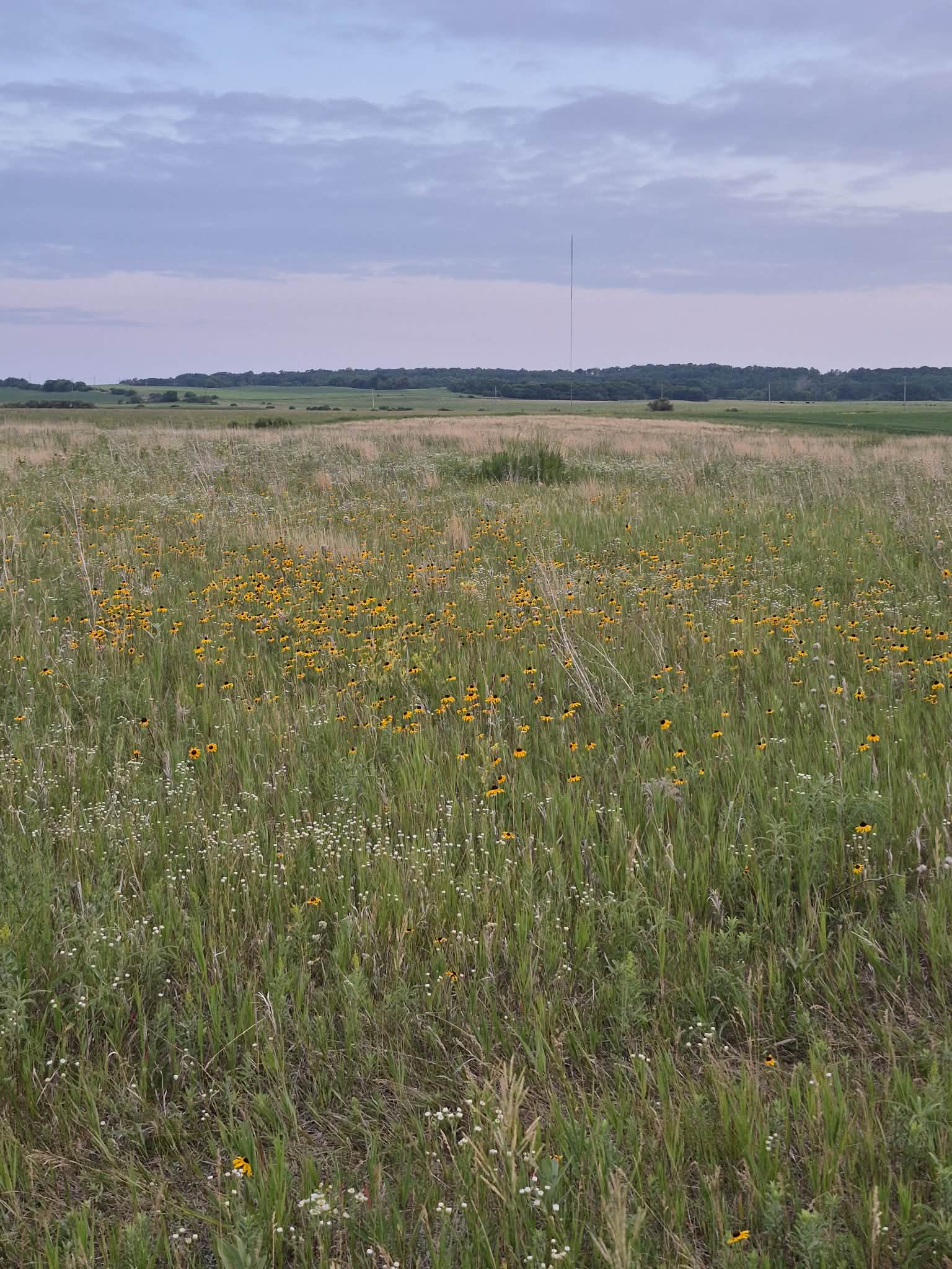 cf90f12e-4aa4-41a8-8c0a-03788a7f25af (1)