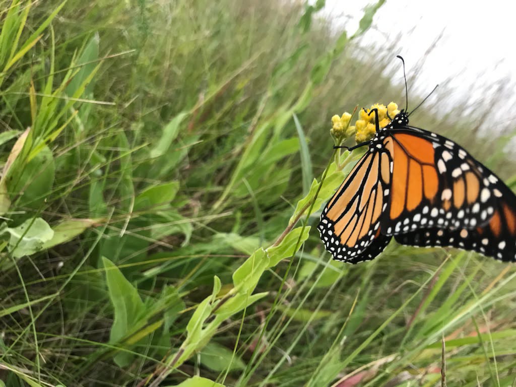 d9733a19-9695-4d25-9809-0495b97deb15